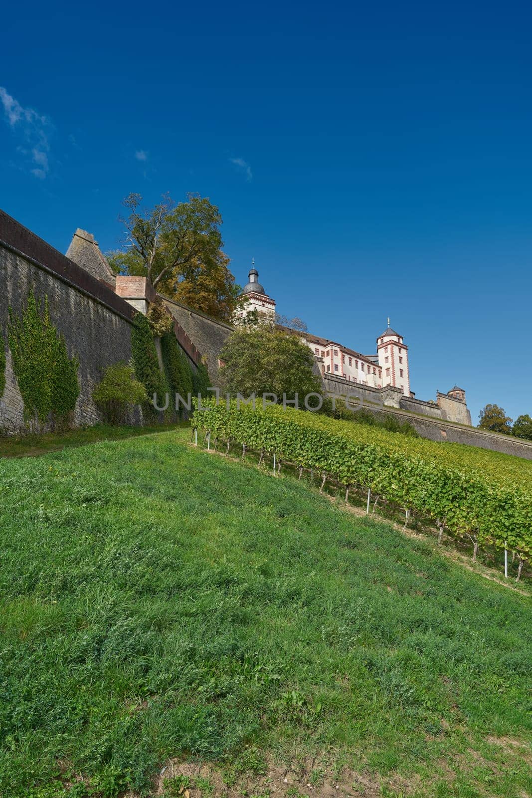 The Marienberg Fortress above the city of Wuerzburg in Germany, surrounded by vineyards
