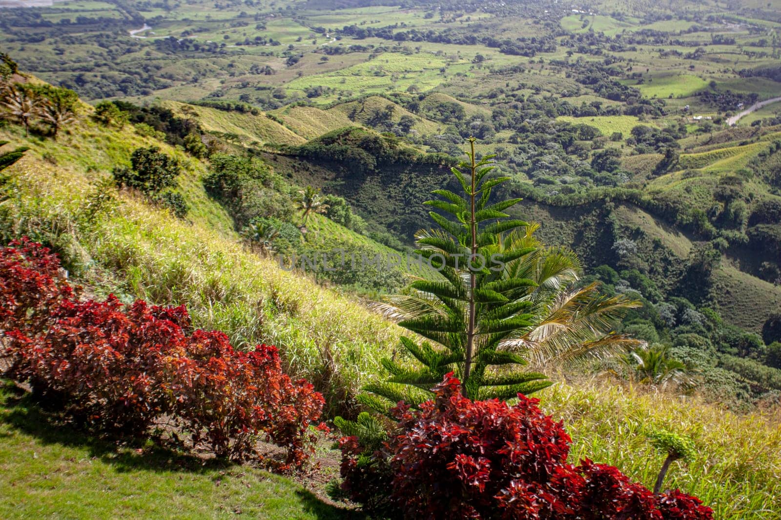Vibrant flora frames a scenic view of the verdant hills and valleys of montana redonda in the dominican republic