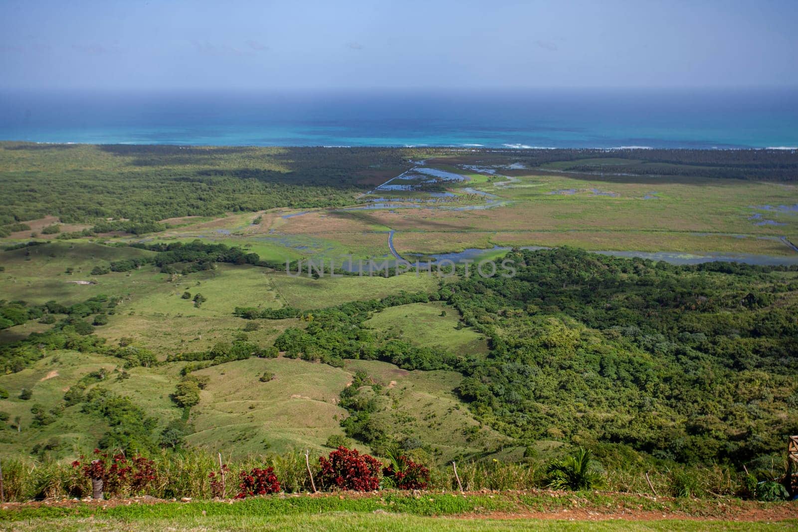 Lush vegetation and the atlantic ocean meet in a stunning landscape view from montana redonda, miches, dominican republic