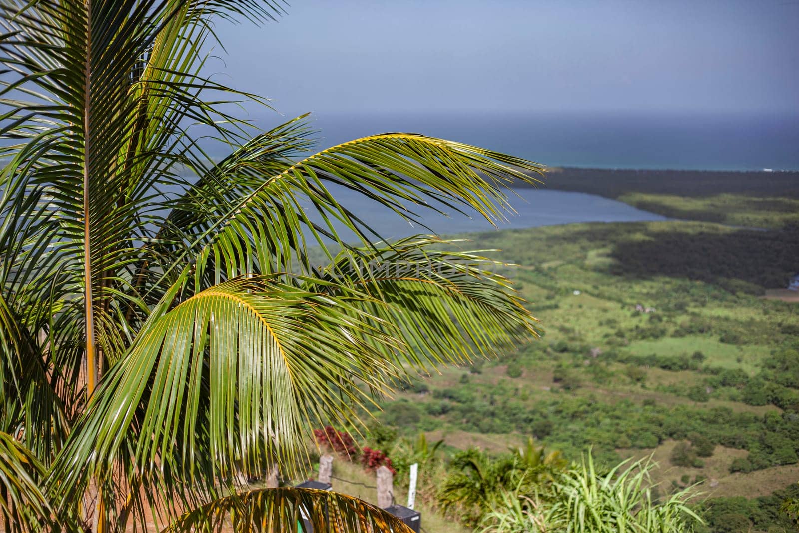 Lush palm tree leaves frame a scenic view of rolling hills, a serene lagoon, and the distant ocean in montana redonda