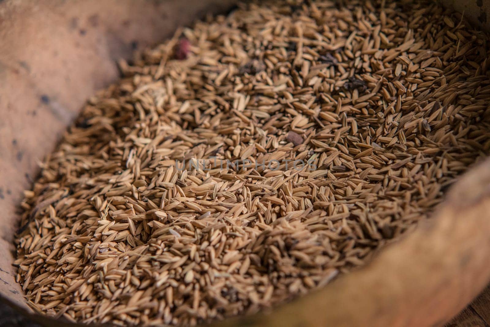 Close-up of unprocessed rice grains nestled in a weathered wooden bowl, showcasing the agricultural essence of montana redonda