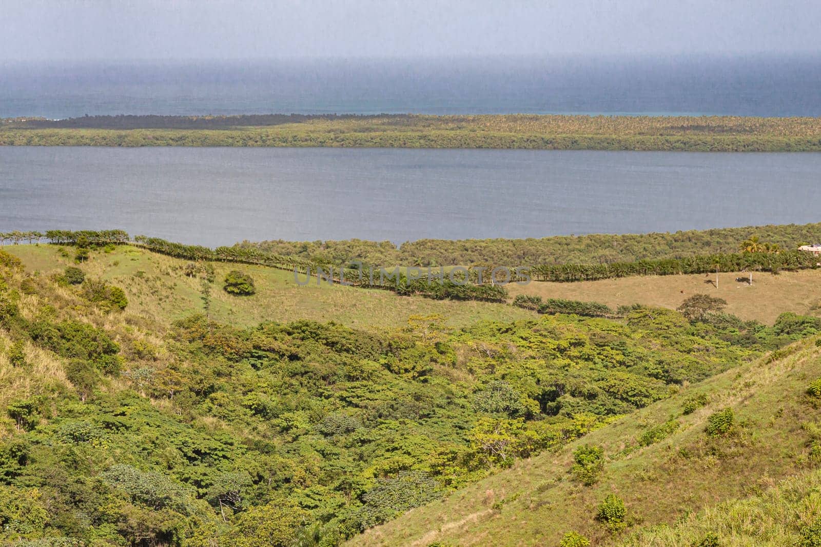 Scenic view of rolling hills covered in lush vegetation overlooking the ocean in montana redonda, dominican republic