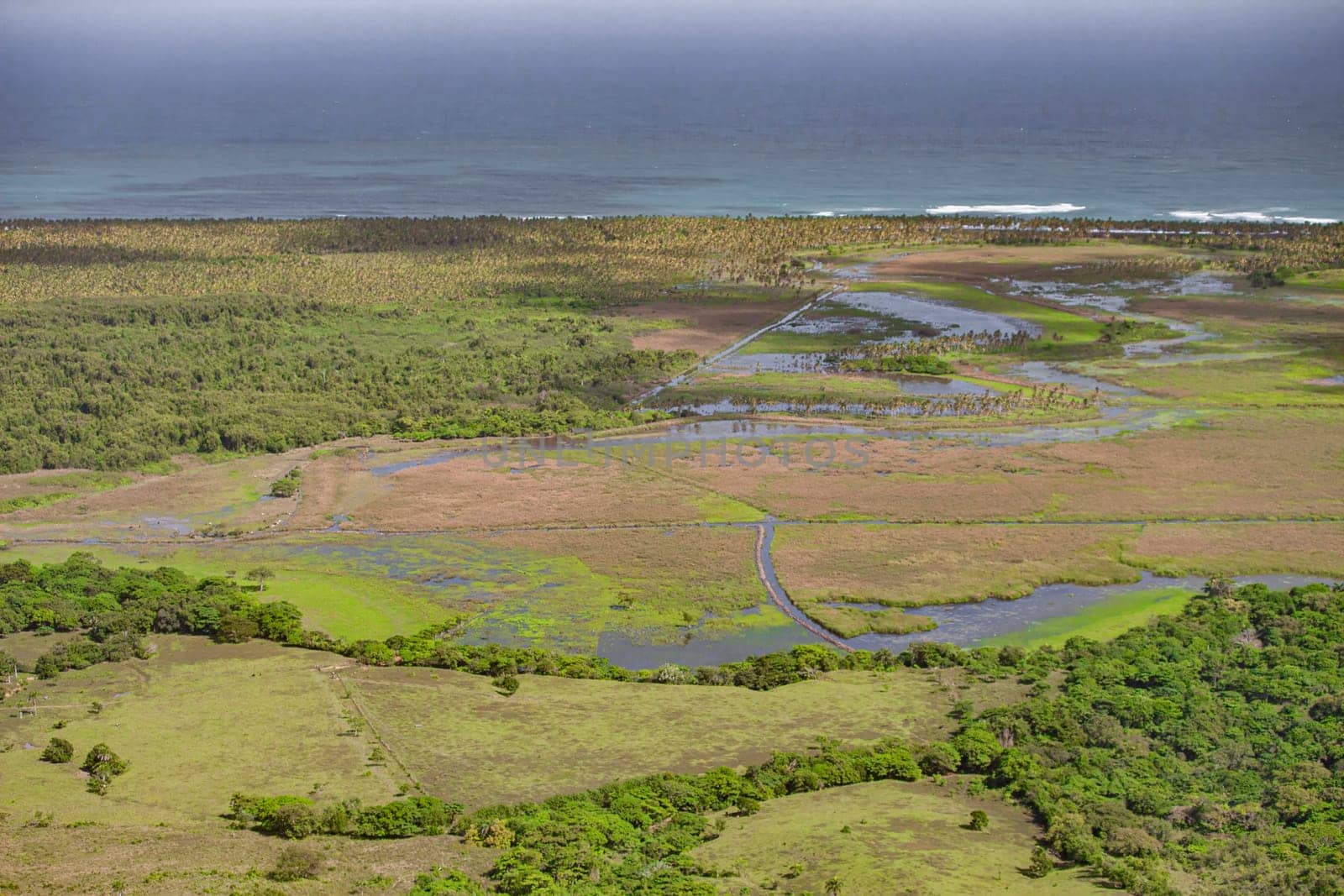Aerial view of vibrant wetlands, palm groves, and the caribbean sea in montana redonda, showcasing the diverse ecosystem of the dominican republic