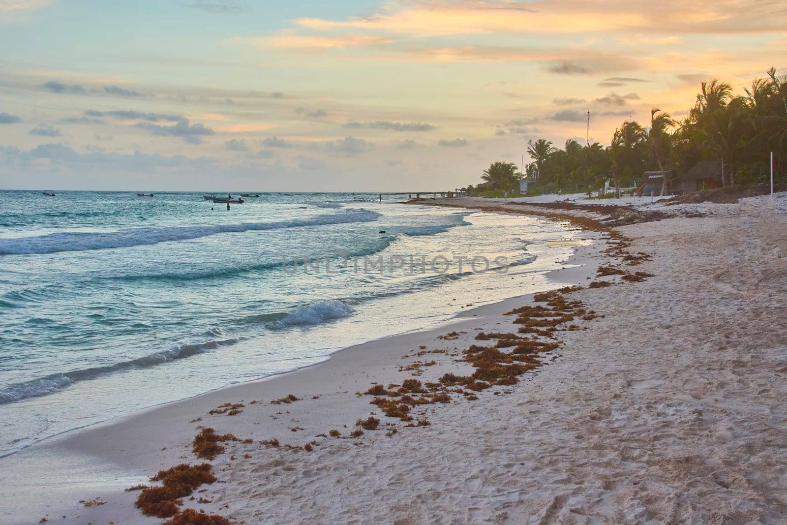 Stunning sunset over the caribbean sea with turquoise waters lapping on a sandy beach dotted with seaweed in tulum, mexico