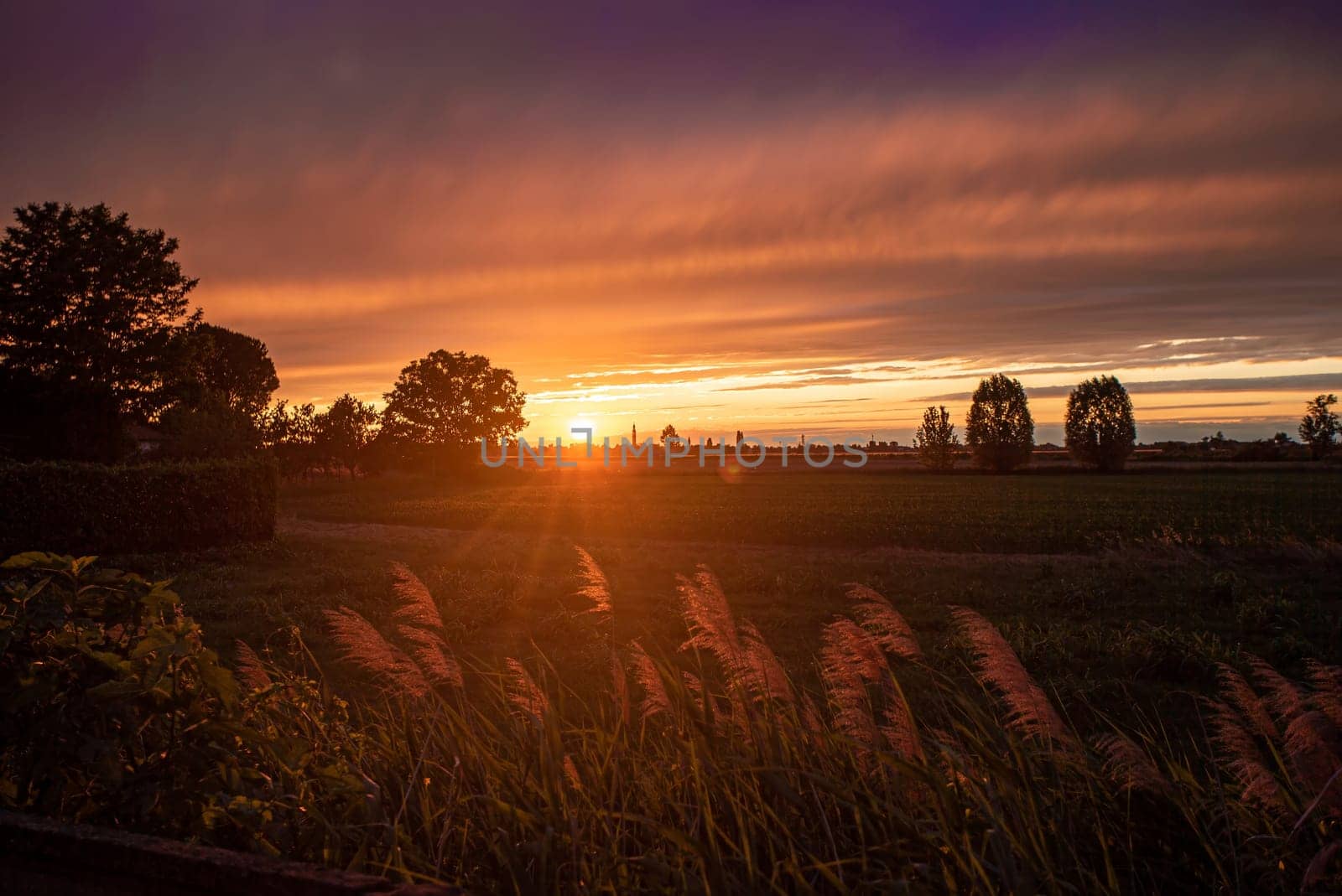 Golden hour sunlight bathes a tranquil field, creating a picturesque rural scene