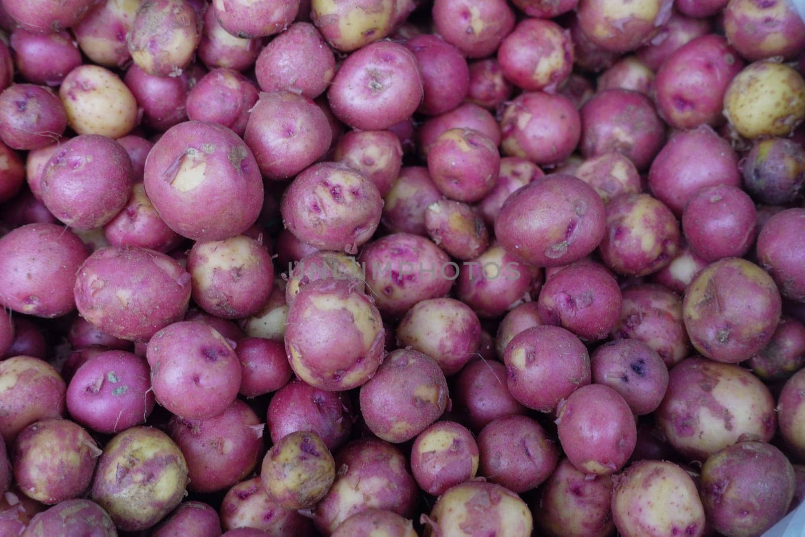 A vibrant and colorful assortment of fresh red potatoes beautifully piled together