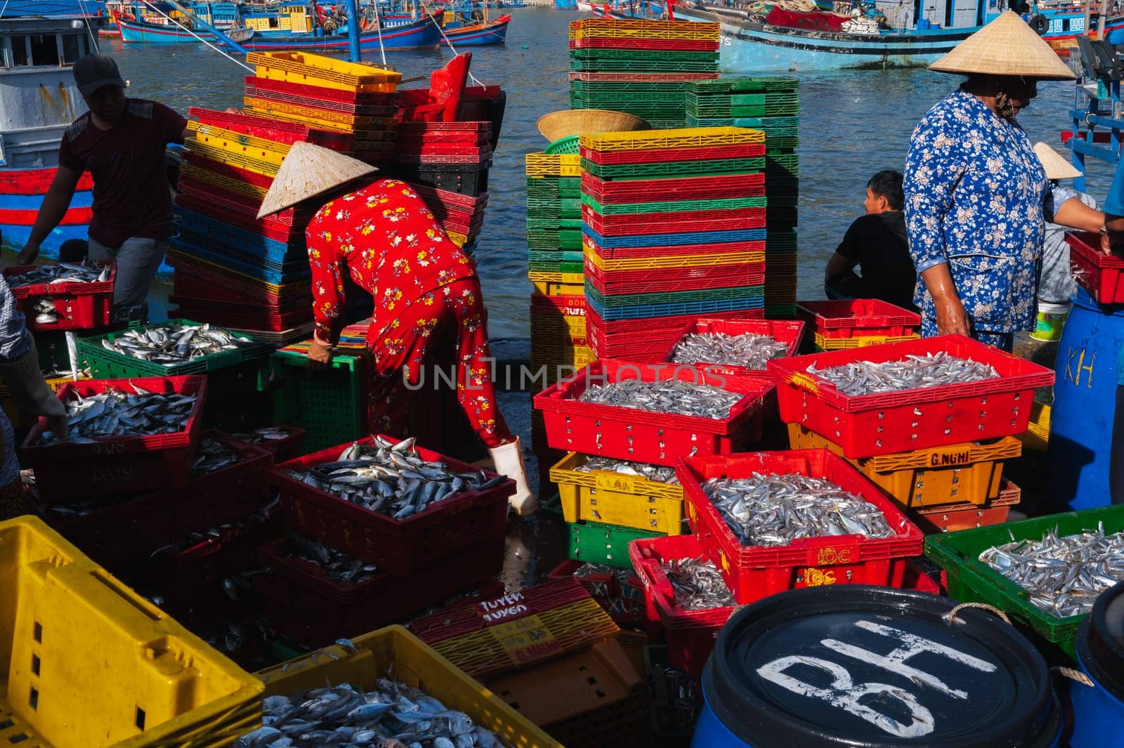 Vietnamese people in a fishing harbor harvest their crops in the morning and prepare seafood for sale at the wholesale market. Vietnam, Nha Trang - September 8, 2024