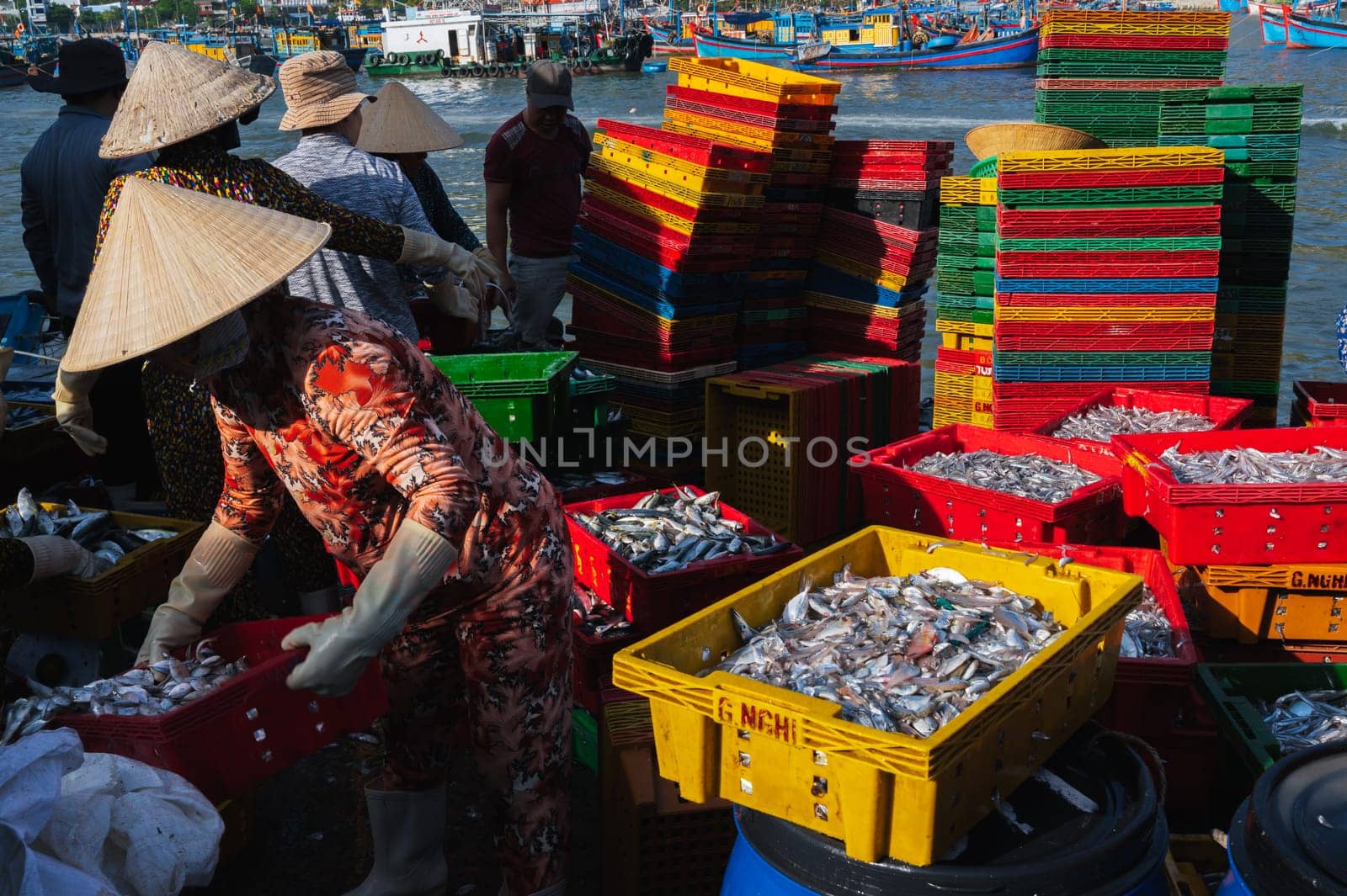 Vietnamese sellers unload and sell fresh sea fish at the fish market. Vietnam, Nha Trang - September 8, 2024