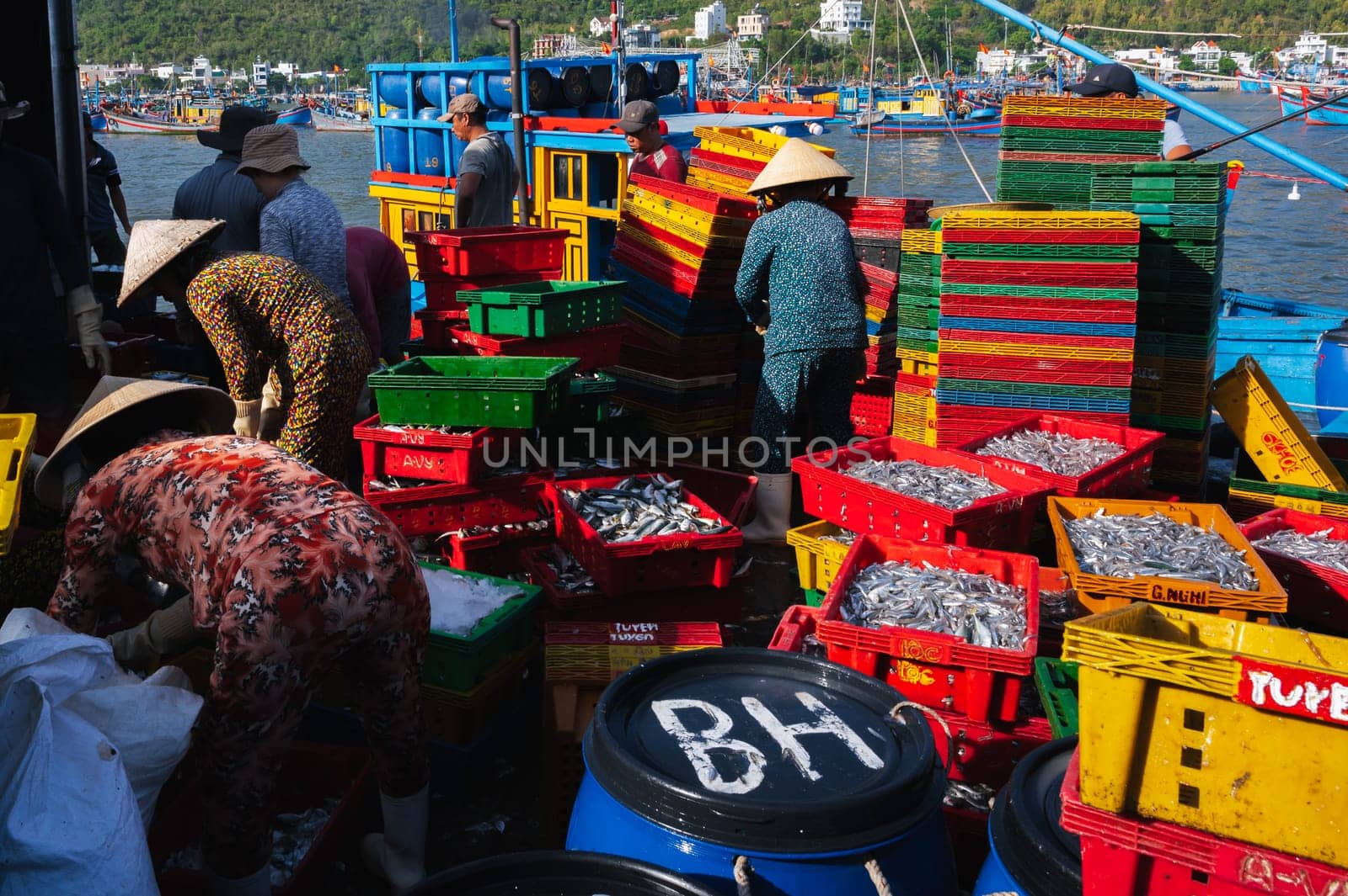 Local Vietnamese residents work at the fish market, unloading boxes from ships. Vietnam, Nha Trang - September 8, 2024