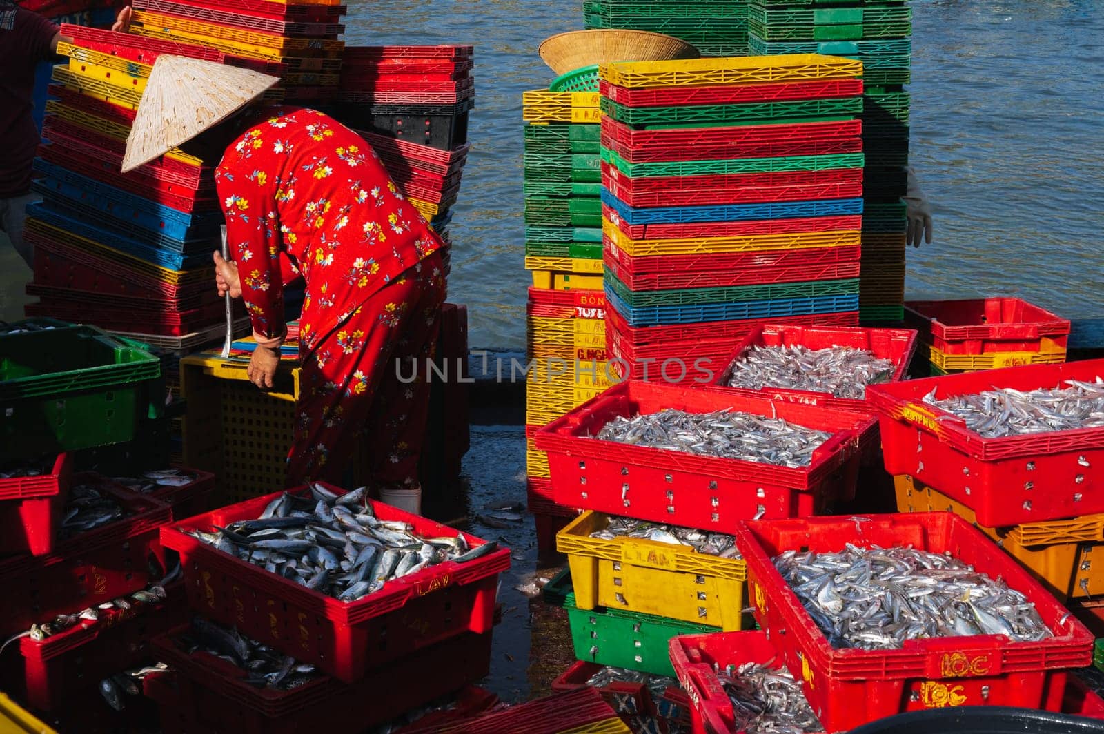 Vietnamese people in a fishing harbor harvest their crops in the morning and prepare seafood for sale at the wholesale market