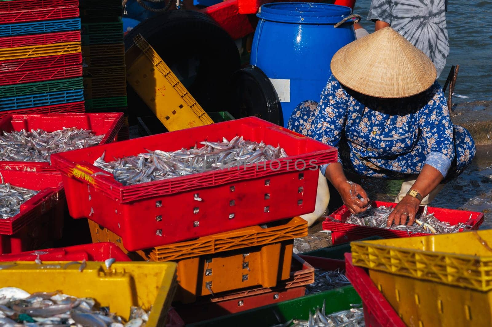 Vietnamese women in conical hats prepare fish for sale at the local market. Vietnam, Nha Trang