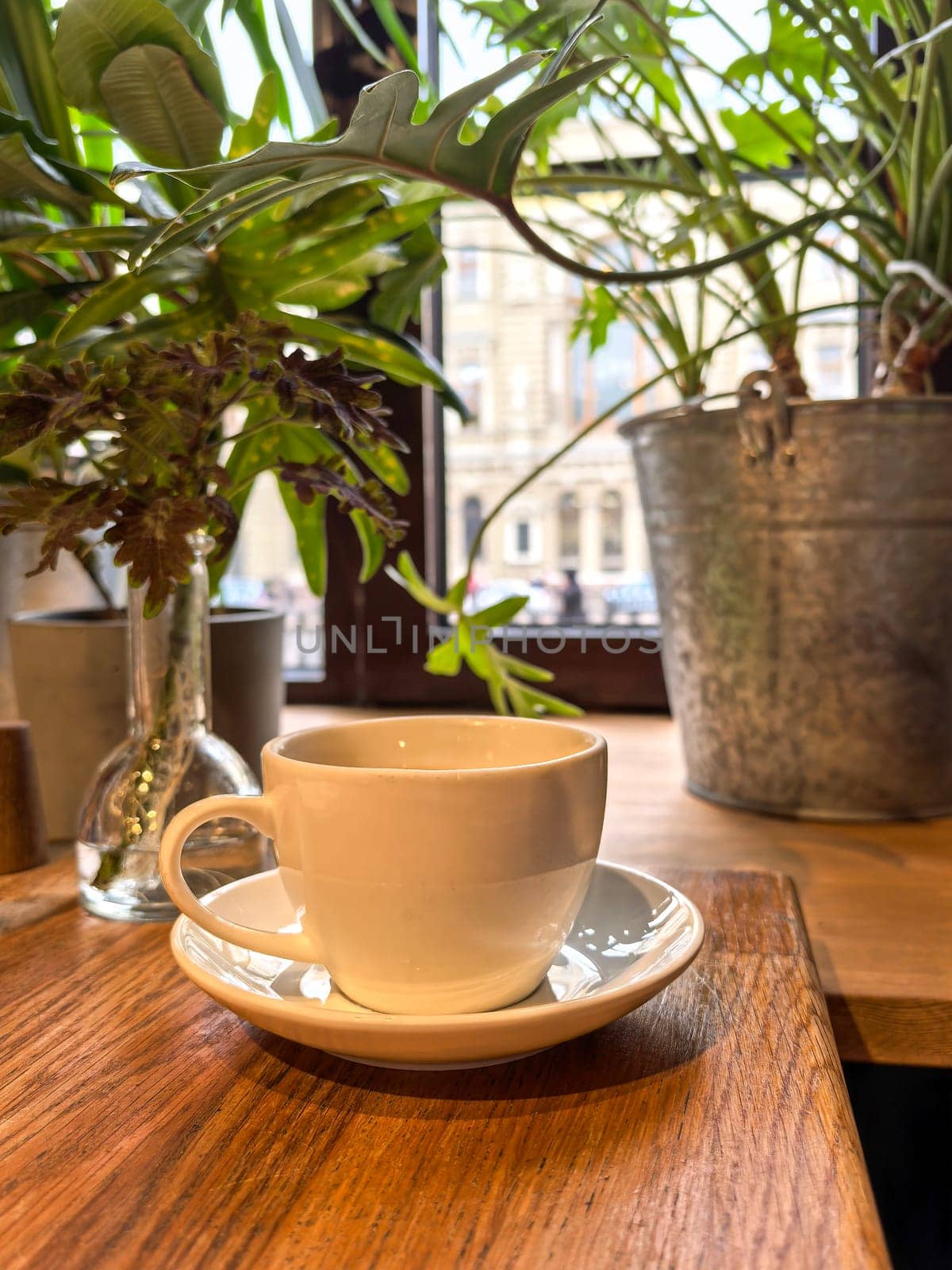 A white cup on a wooden table surrounded by potted plants. Photo taken with smartphone.