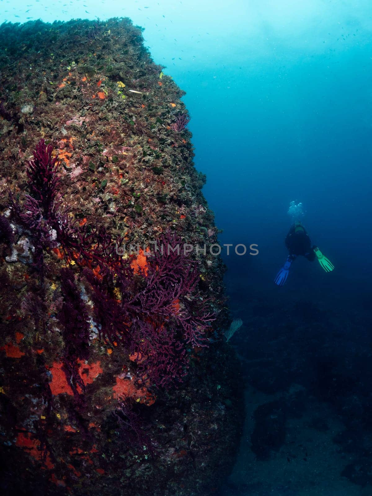 distant scuba diver diving near rocky formation with colorful coral while swimming in clear deep sea, concept of underwater adventure and active leisure