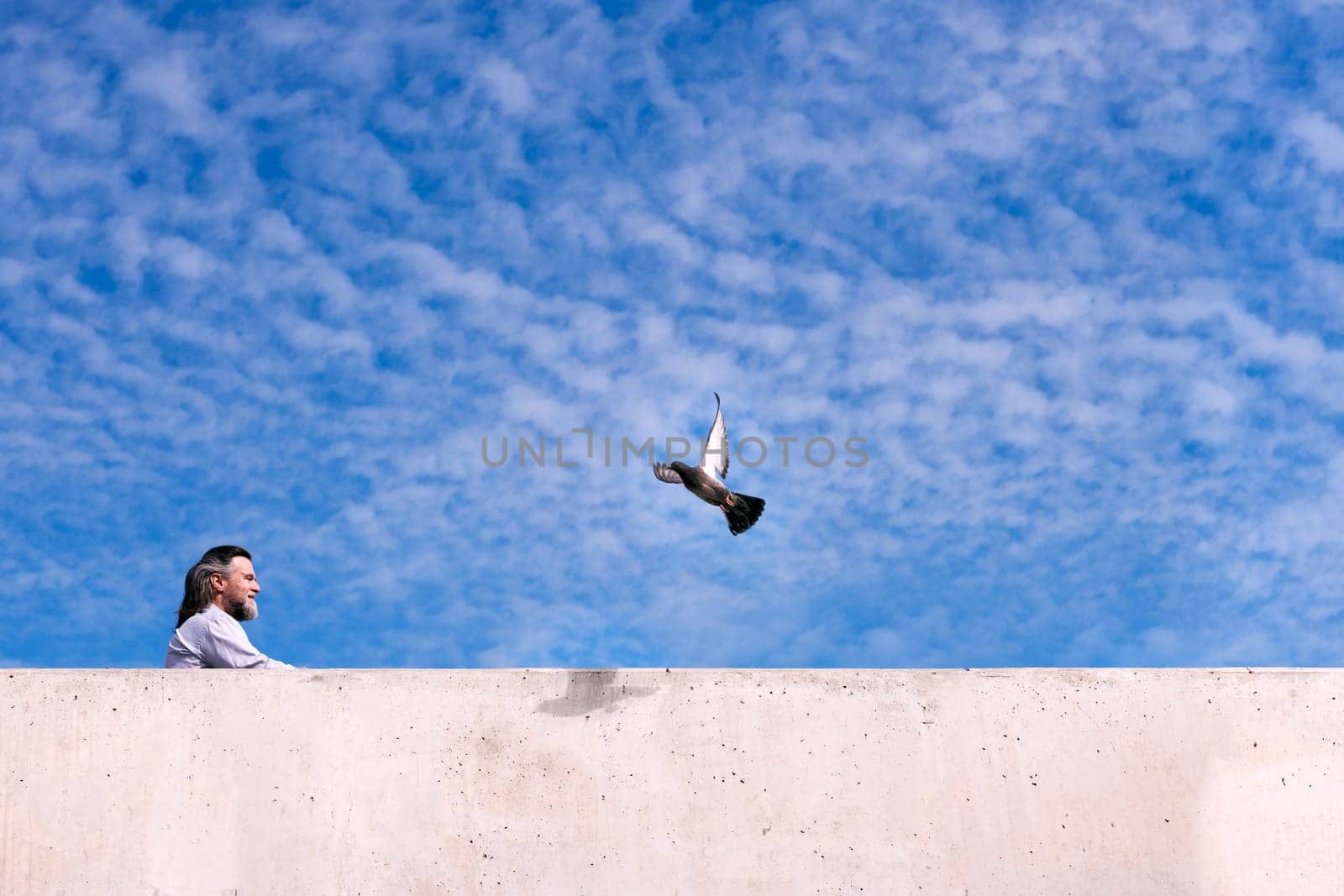 side view of positive mature male with beard resting near concrete fence and observing flying pigeon against cloudy blue sky, concept of freedom and middle age man lifestyle, copyspace for text
