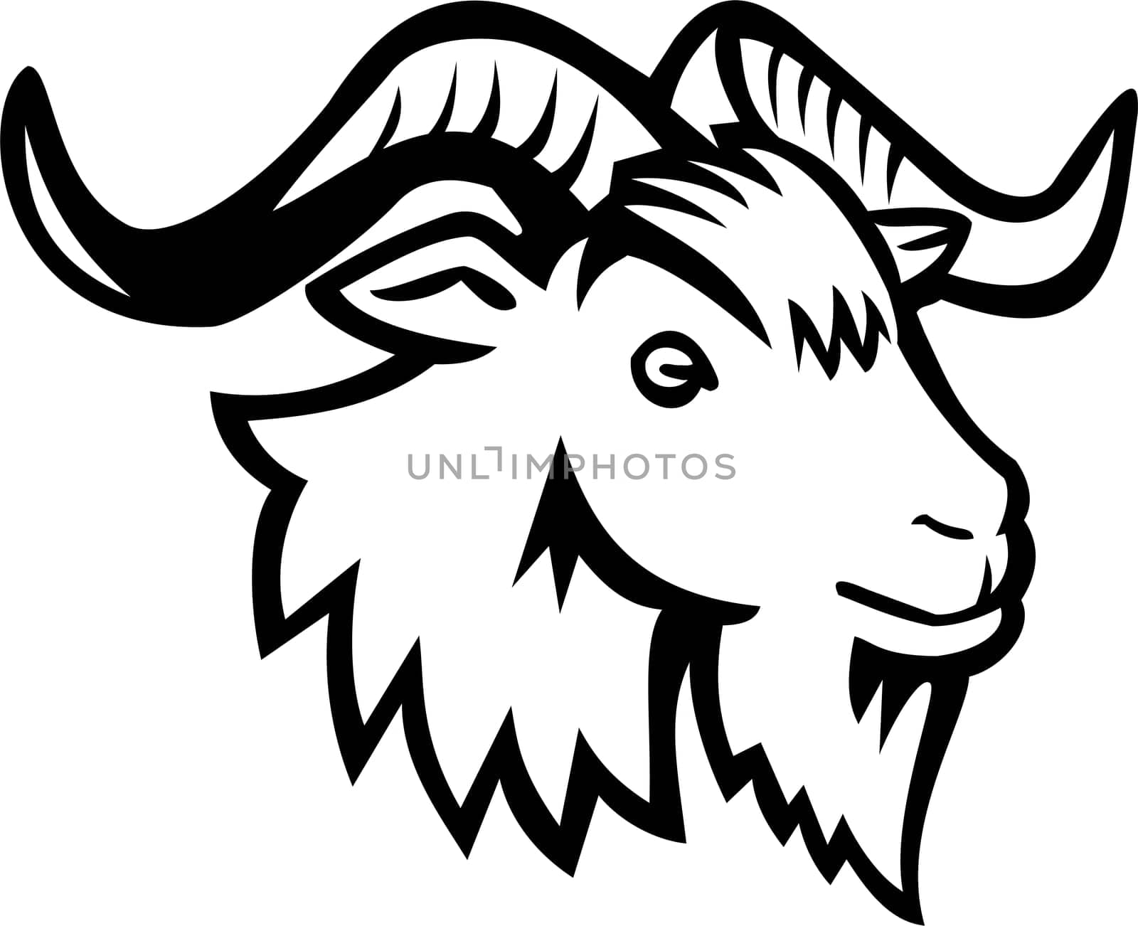Mascot illustration of head of Juan Fernandez wild goat viewed from the side 
on isolated background in retro style.