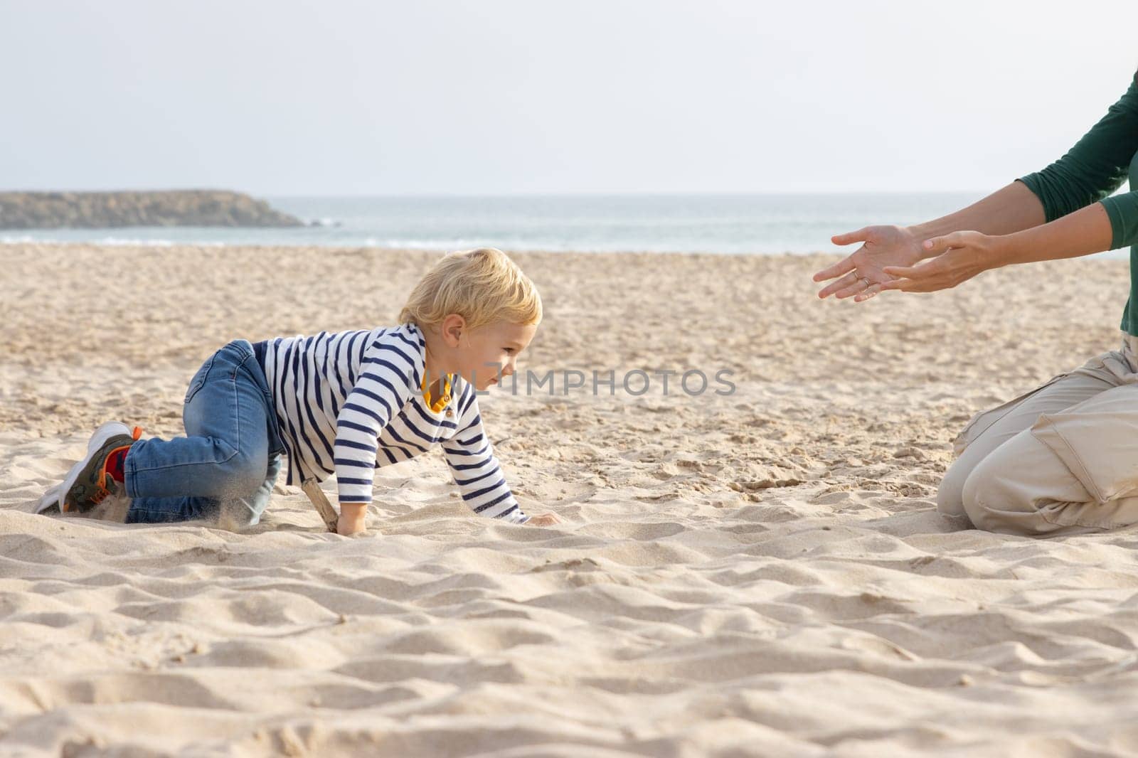 A little boy crawling on the beach to his mother's hands. Mid shot