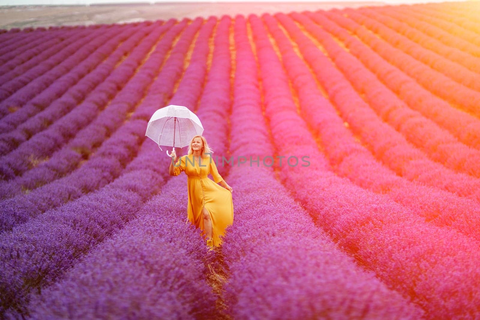 Woman lavender field. A middle-aged woman in a lavender field walks under an umbrella on a rainy day and enjoys aromatherapy. Aromatherapy concept, lavender oil, photo session in lavender by Matiunina