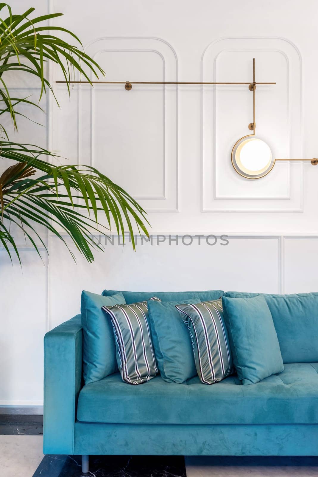 Turquoise sofa and green leafy plant in the interior of the living room in front of white decorative illuminated wall by Sonat