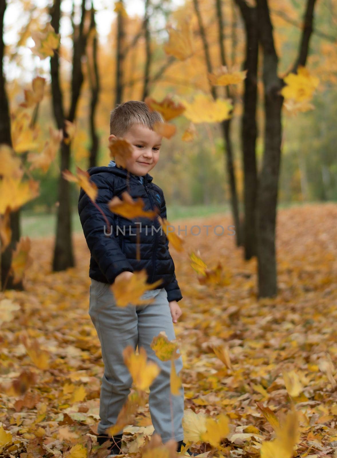 Childhood. A 5-year-old boy with blond hair is happily walking through an autumn park. It throws up yellow leaves, a feeling of innocence, happiness and beauty of childhood in nature.