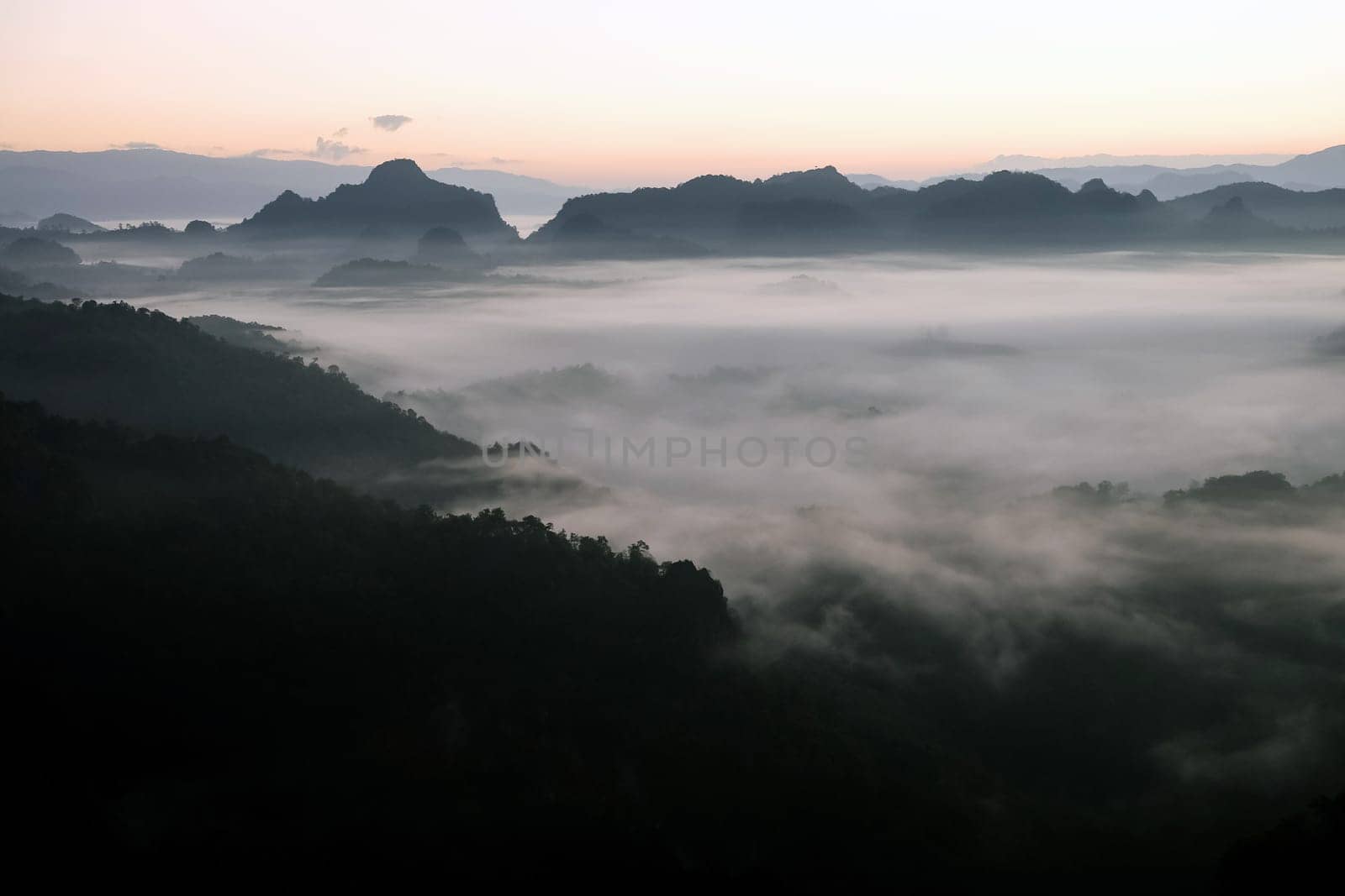 The sea of fog at Phuphamok,This mountain is located in Pang Mapha District, Mae Hong Son Province.Thailand.