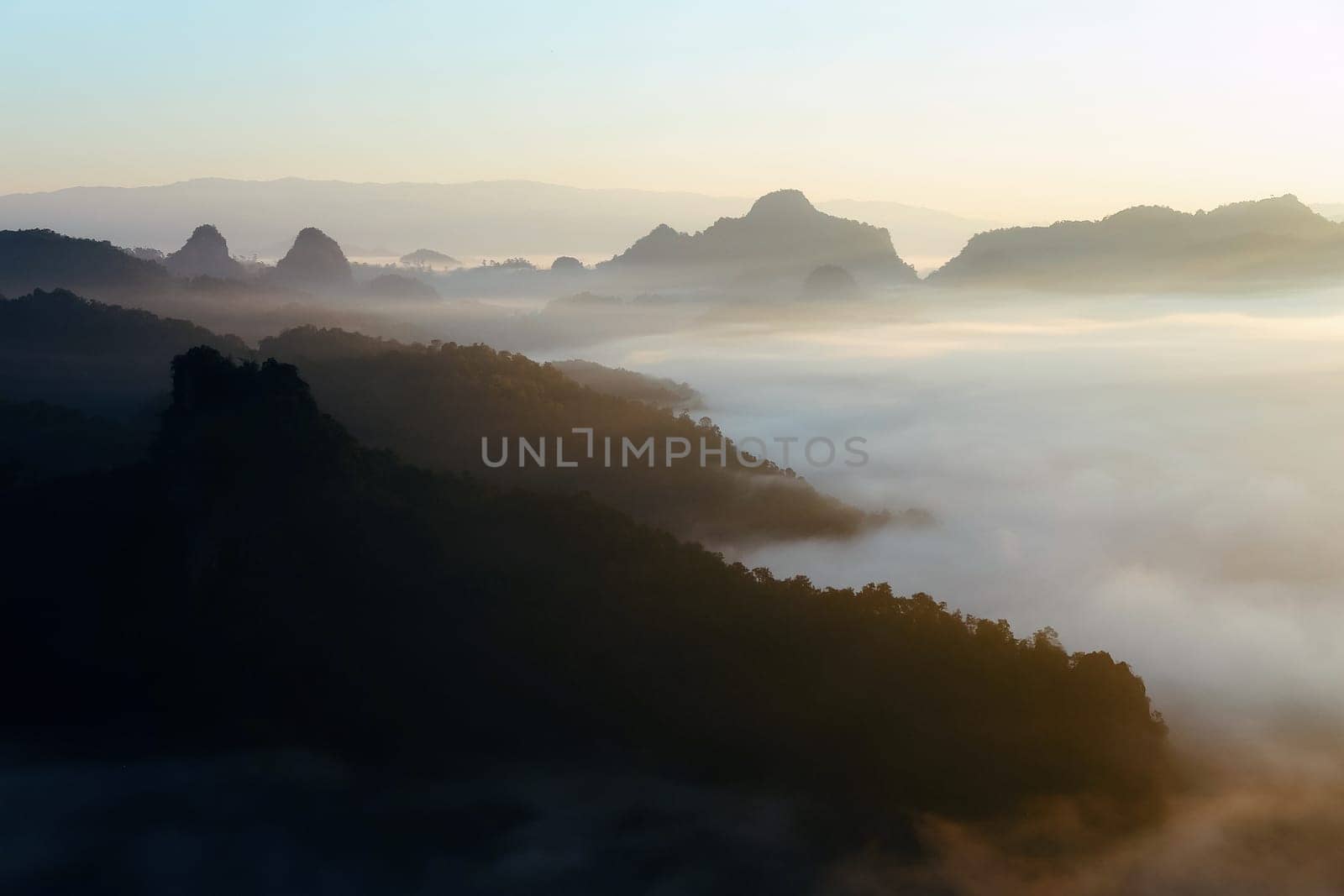 The sea of fog at Phuphamok,This mountain is located in Pang Mapha District, Mae Hong Son Province.Thailand.