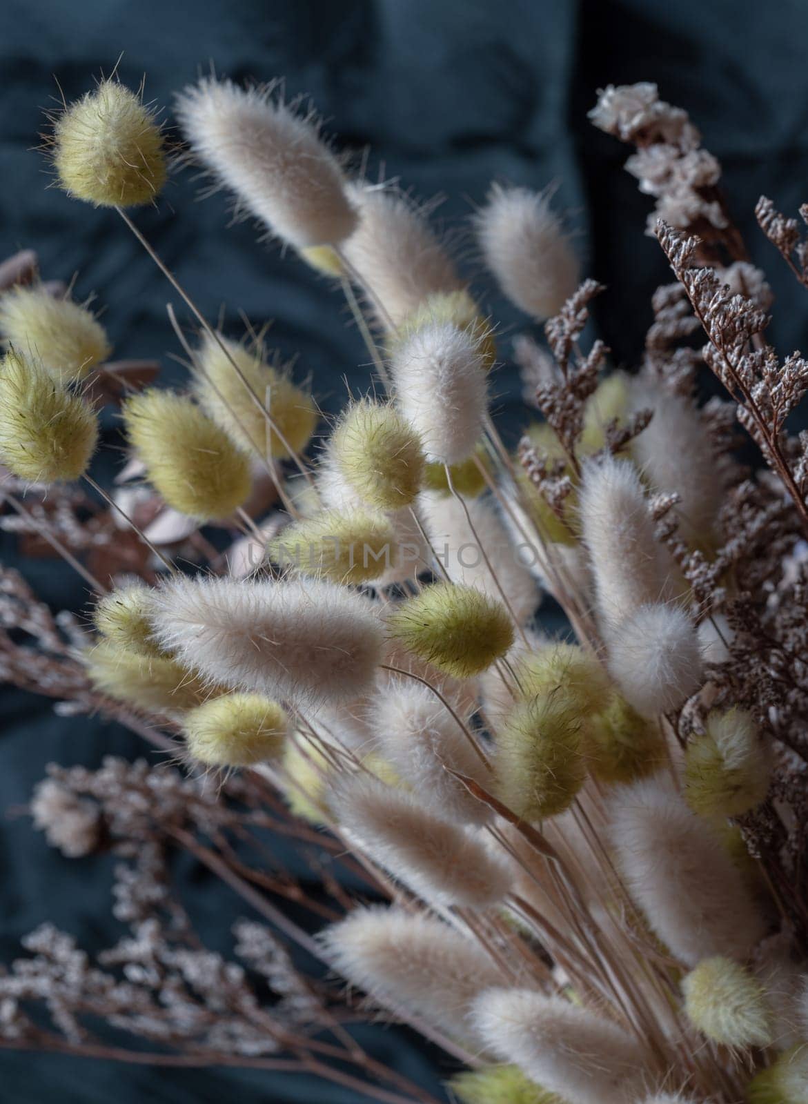 Dry fluffy bunny tails grass flowers bouquet (Hares tail grass) on Dark background. Dried lagurus ovatus flowers, use it as your Wallpaper, Poster and Space for text, Selective focus.