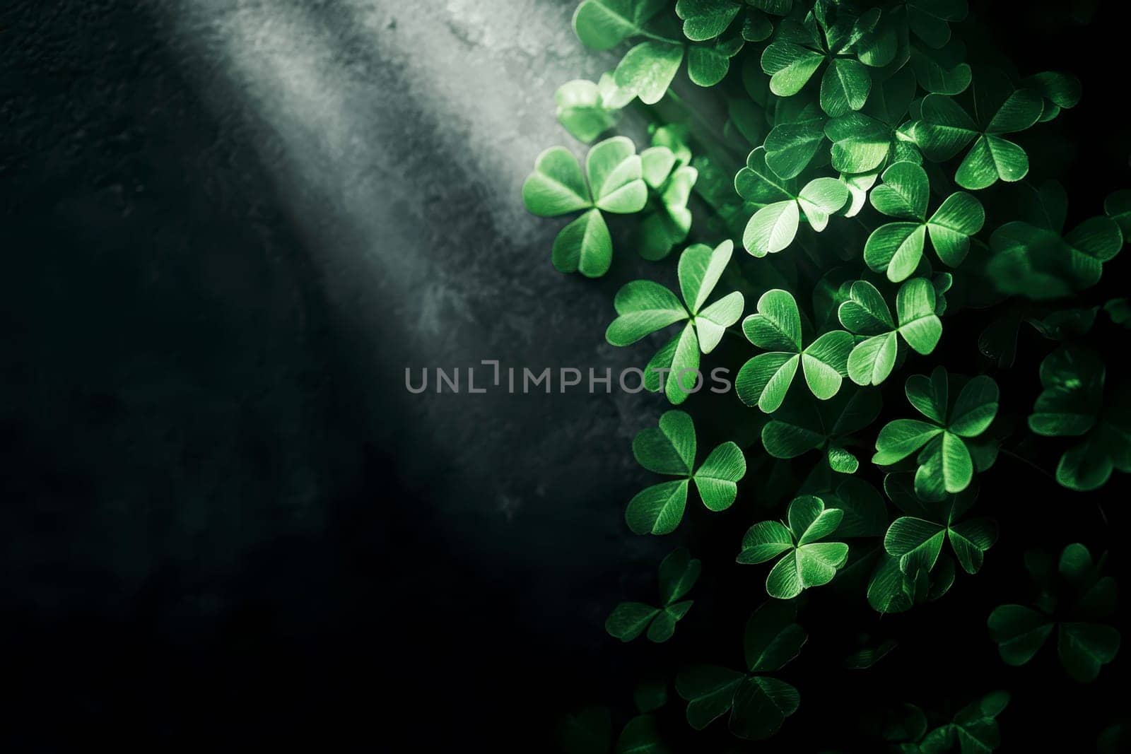 Succulent plants with green clover leaves bordering a dark slate stone background. Copy space. Generative AI..