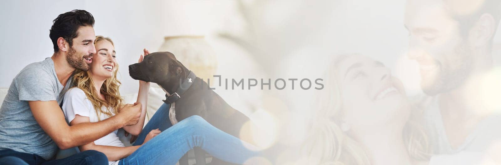 Happy, couple and relax with dog in home, mockup and banner for foster, adoption or love for rescue pitbull. People, pet and double exposure with space for puppy, info or care for animal in house by YuriArcurs