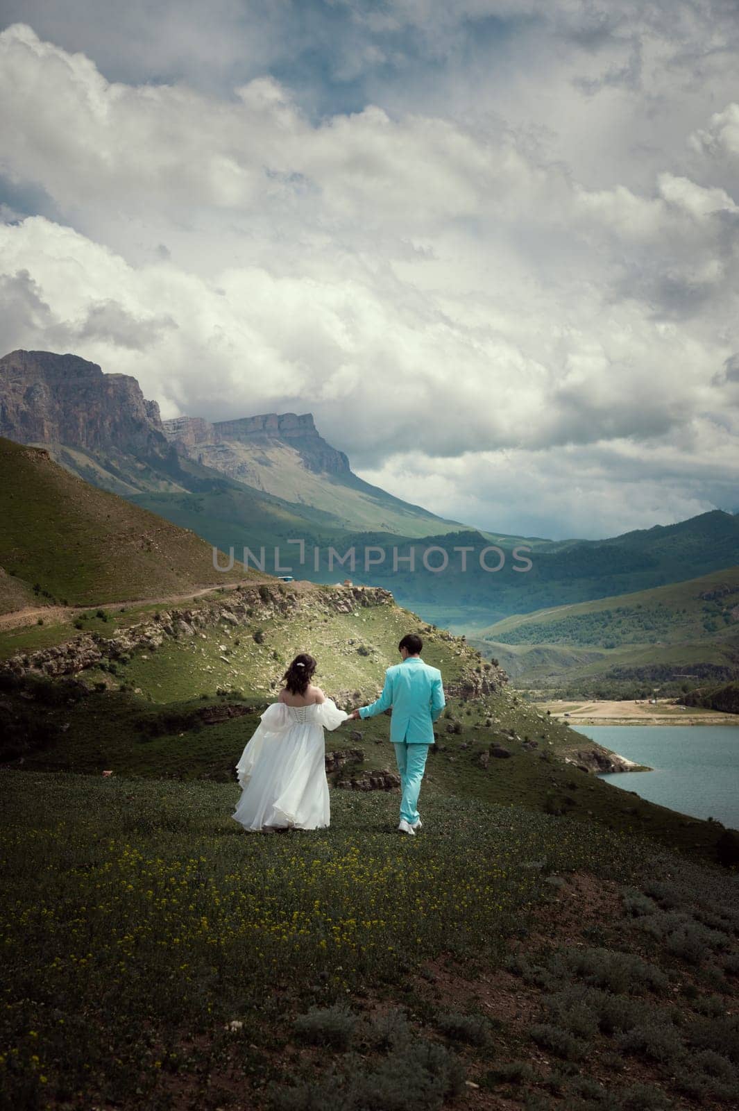 A wedding couple walks on green grass against the backdrop of mountains and high peaks. bride and groom stand with their backs turned and pose for wedding photos in the wilderness of the mountains by yanik88