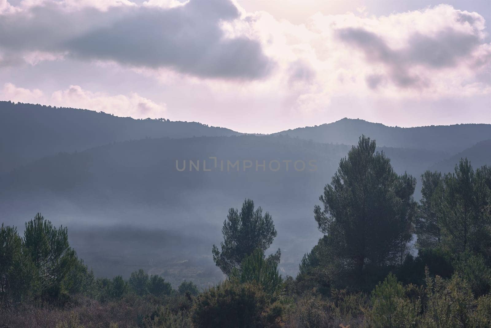 Mountain landscape with pine trees and misty clouds by raul_ruiz