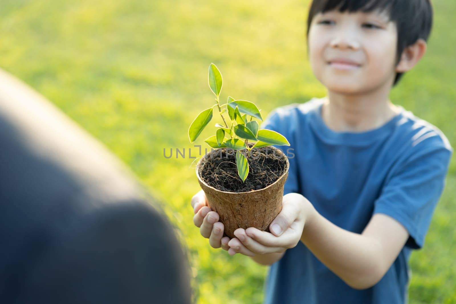 Promoting eco awareness on reforestation and long-term environmental sustainability with asian boy holding plant. Nurturing greener nature for future generation with sustainable ecosystem. Gyre