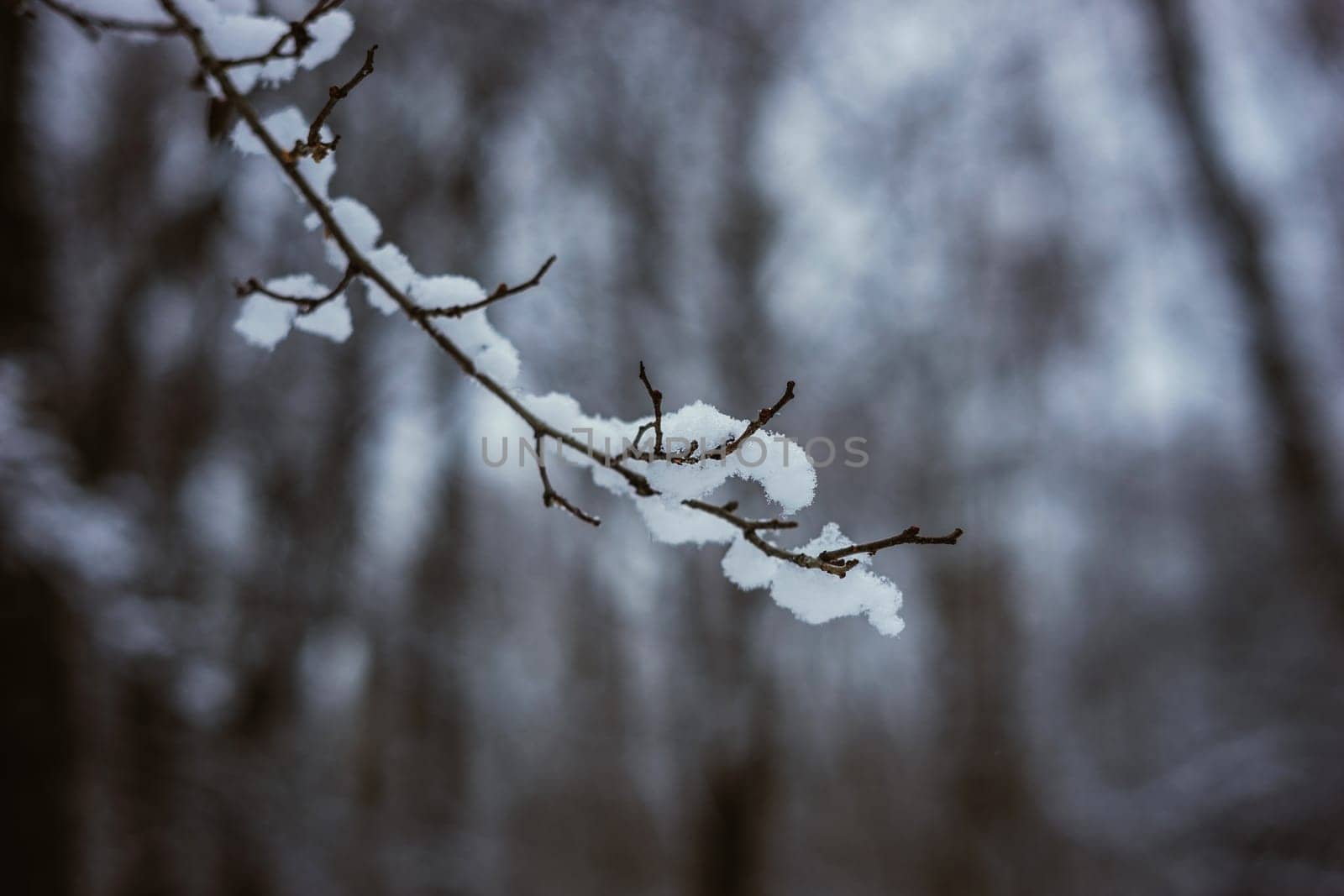 Abstract shot of icicles hanging. High quality photo