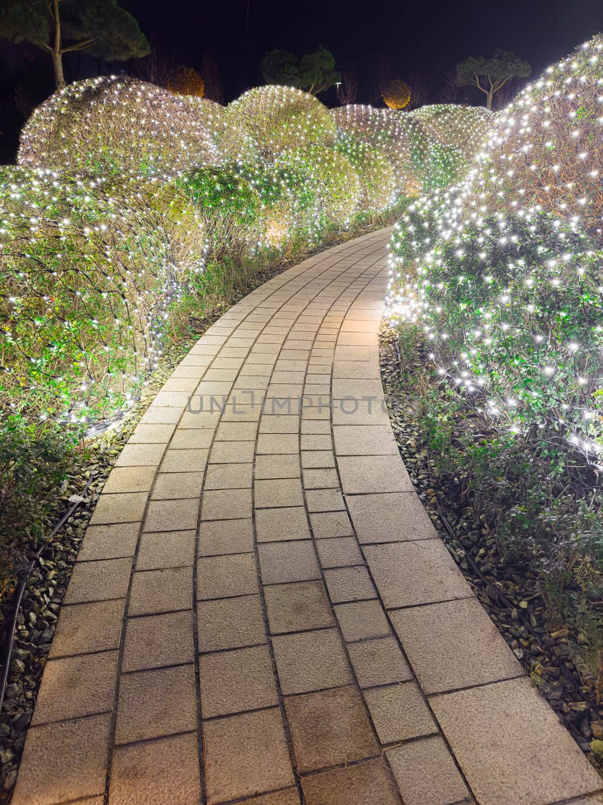 A winding stone path is surrounded by lush greenery and vibrant lights that create a magical atmosphere at night. The carefully arranged bushes are adorned with twinkling lights.