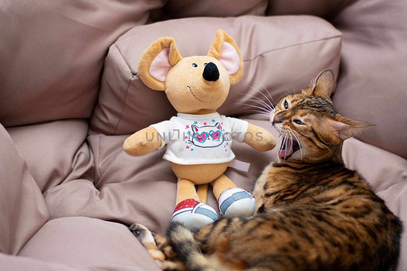 Animals. A beautiful Bengal cat lies with a soft toy plush mouse. Home interior.