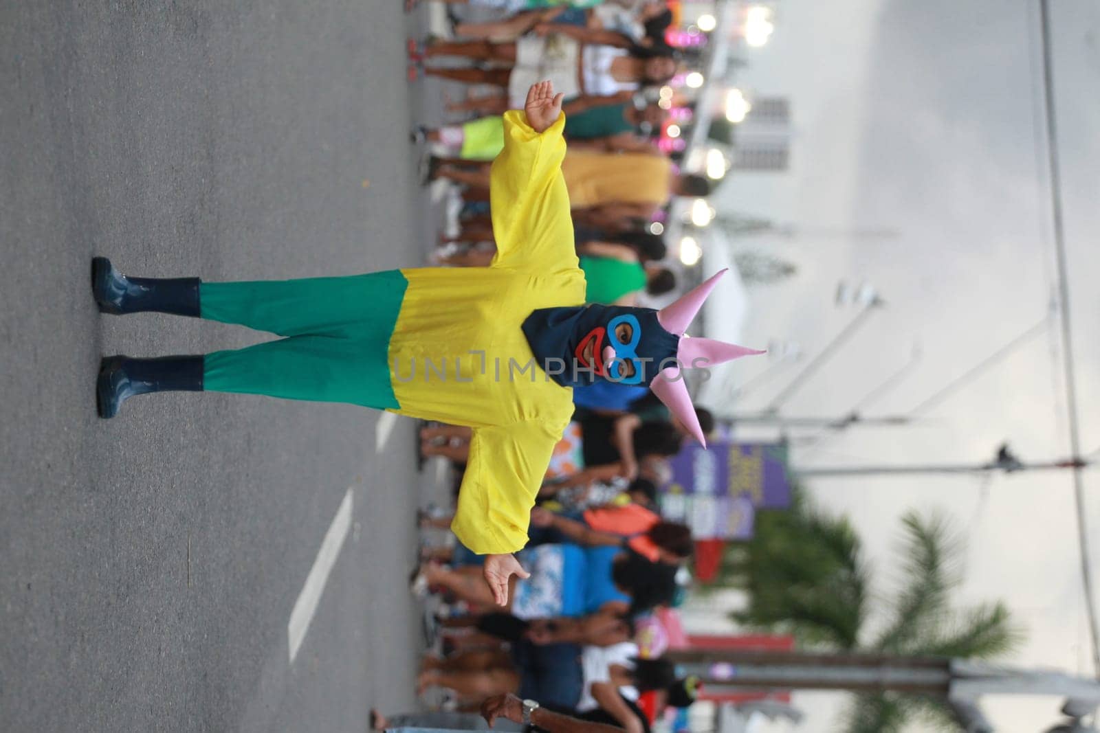 salvador, bahia, brazil - april 23, 2023: child wears costume during micareta in the city of Feira de Santana.