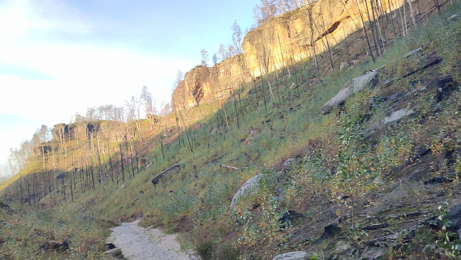 Mountainous green path nature travel background landscape summer autumn . High quality photo