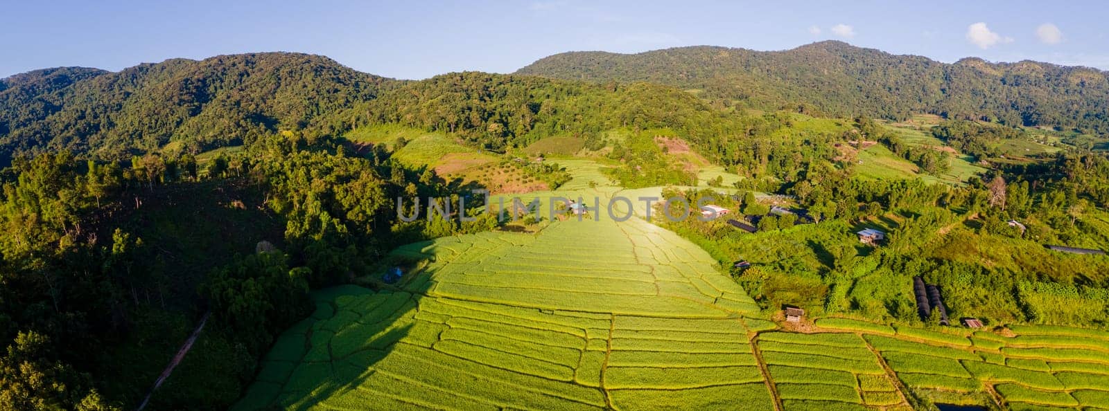 Drone aerial view at the green Terraced Rice Field in Chiangmai, Thailand, Pa Pong Piang rice terraces, green rice paddy fields during rain season