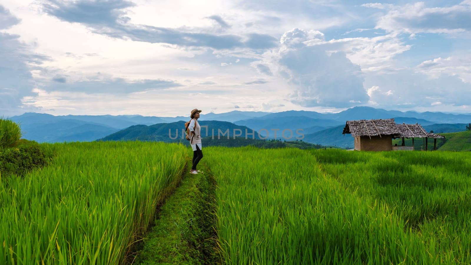 Terraced Rice Field in Chiangmai, Thailand, Pa Pong Piang rice terraces, green rice paddy fields during rain season. Asian woman walking hiking in the mountains at sunset