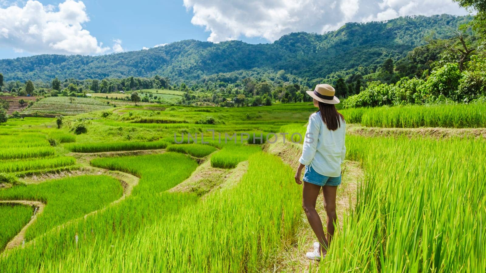 Asian woman watching the Terraced Rice Field in Chiangmai during the green rain season, Thailand. Royal Project Khun Pae Northern Thailand