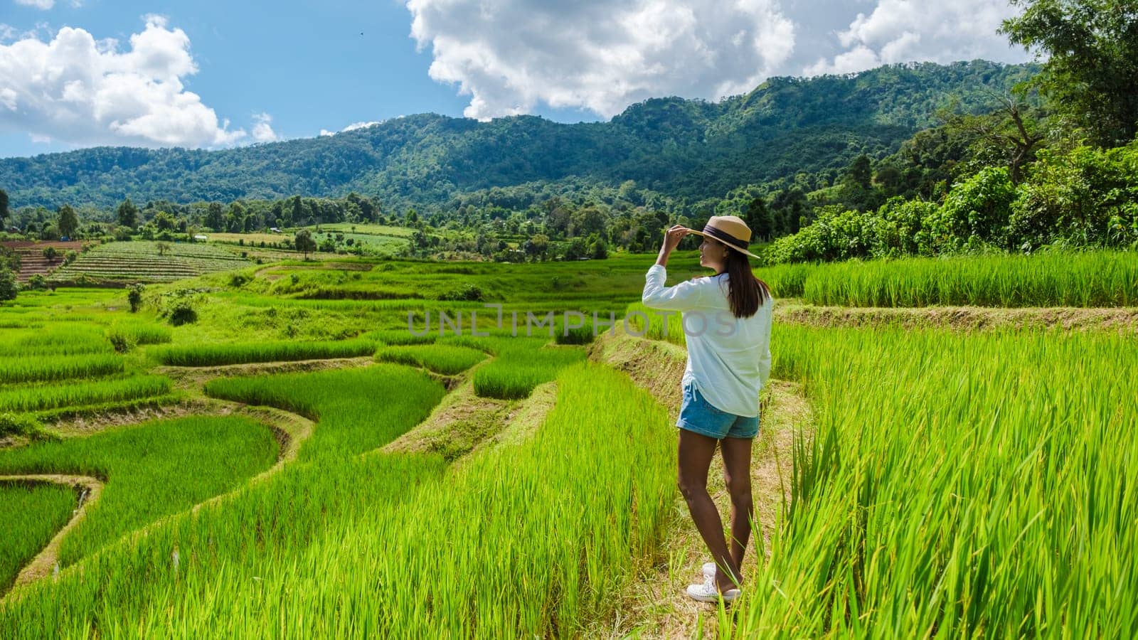 Asian woman watching the Terraced Rice Field in Chiangmai, Royal Project Khun Pae Northern Thailand by fokkebok