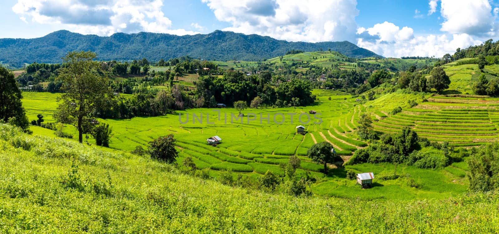 Beautiful Terraced Rice Field in Chiangmai during the green rain season, Thailand. by fokkebok