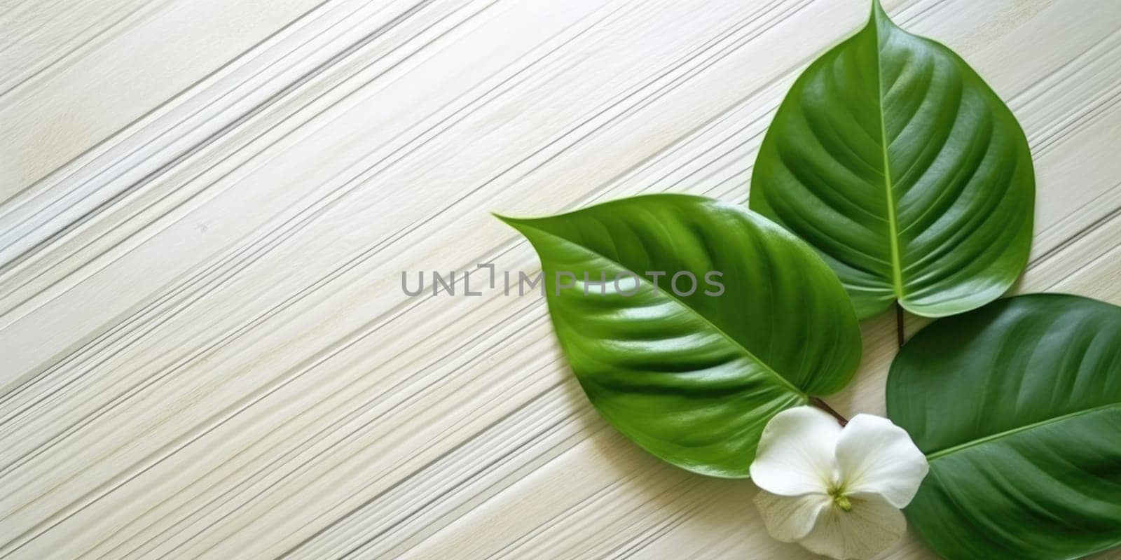 Flat lay photo white wooden and green leaf around it, copy space background. Generative AI weber. by biancoblue
