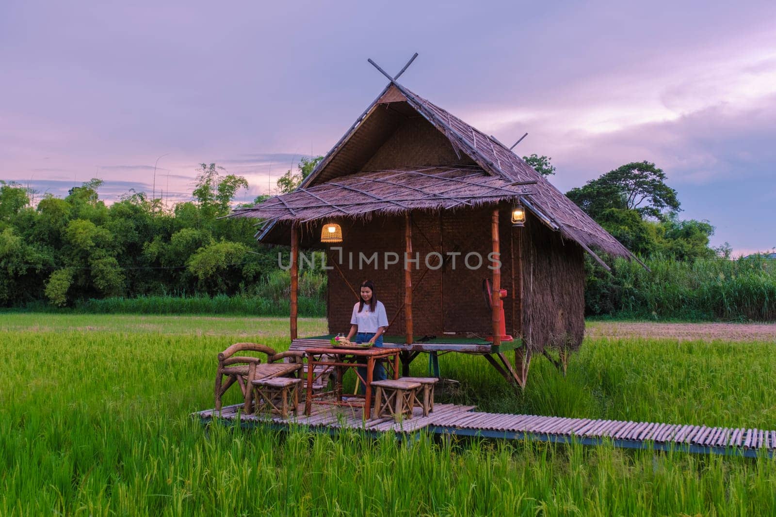 Asian woman at a small homestay at the farm with green rice paddy field in Central Thailand by fokkebok