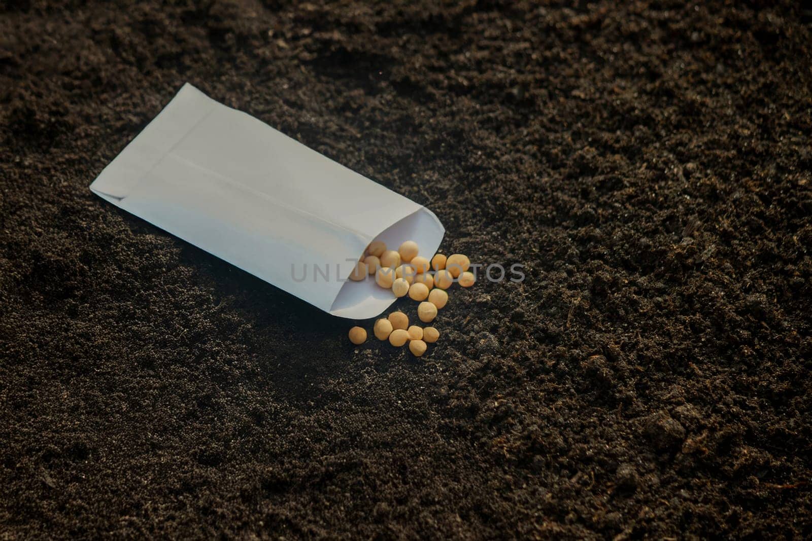Seed Planting: A Variety of Crops for Future Harvest. Selective focus.