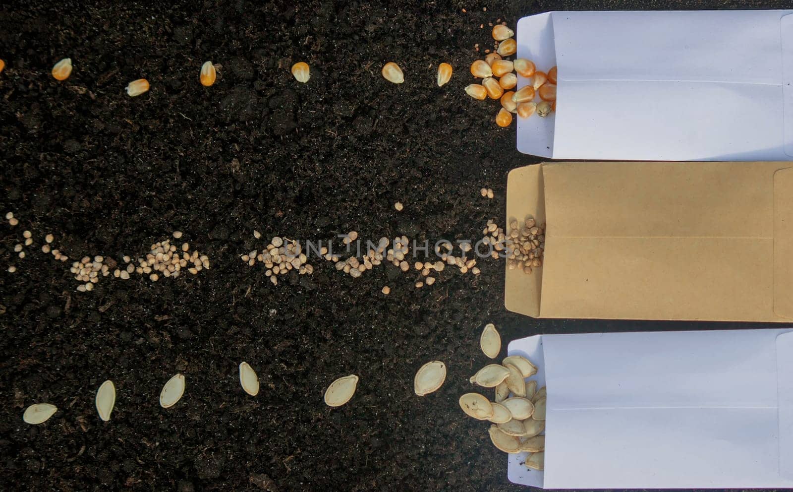 Seed Planting: A Variety of Crops for Future Harvest. Selective focus.
