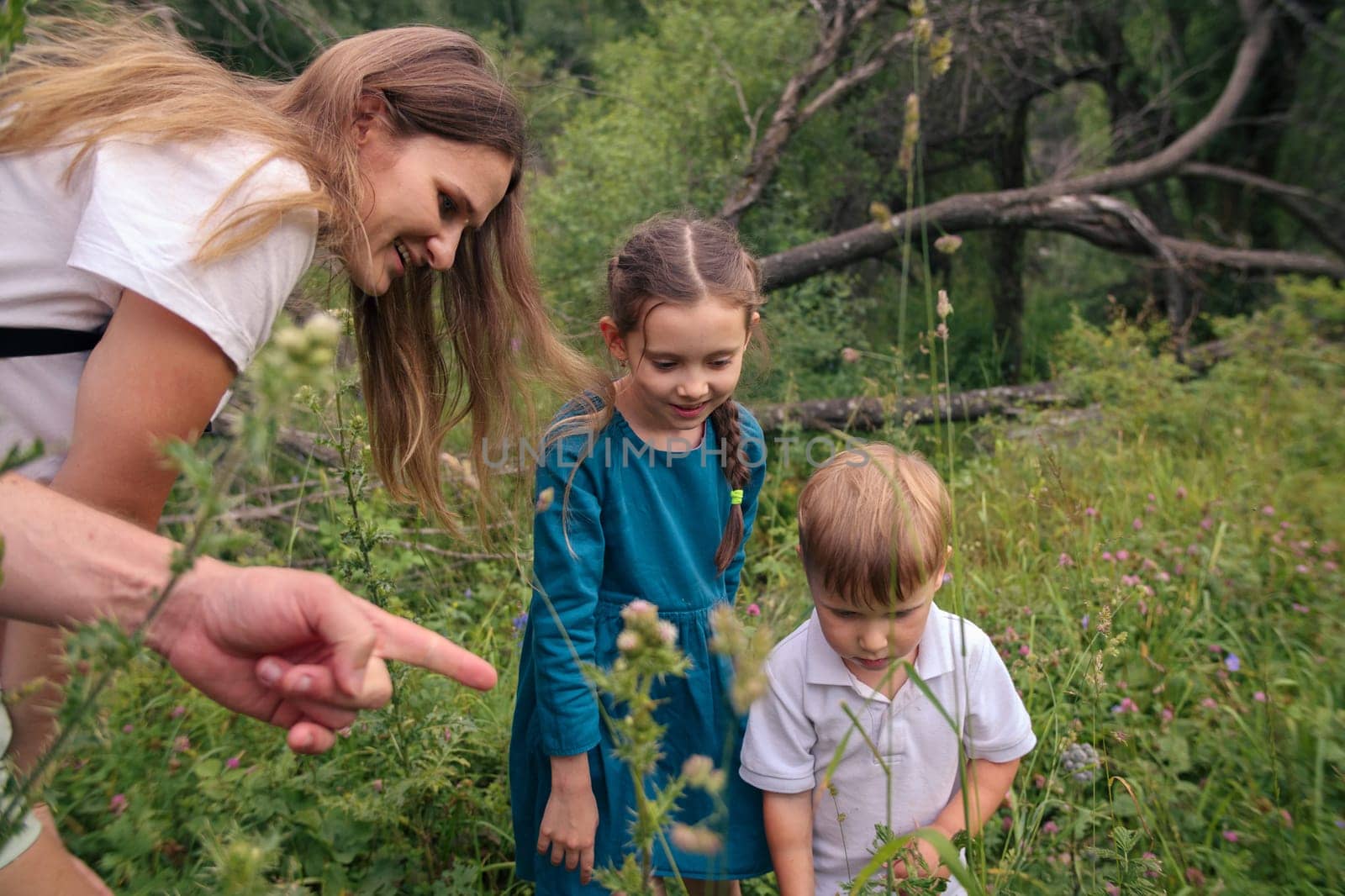 A joyful family happily discovers the enchanting beauty of nature in a vibrant, flowerfilled meadow area
