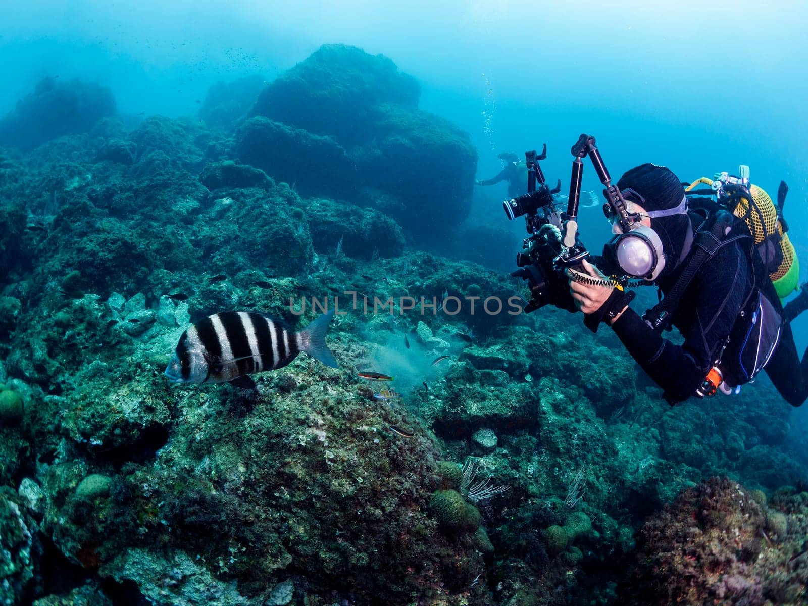 professional scuba diver taking picture of striped fish while swimming near rocky bottom undersea in clear water, concept of underwater photography and active leisure