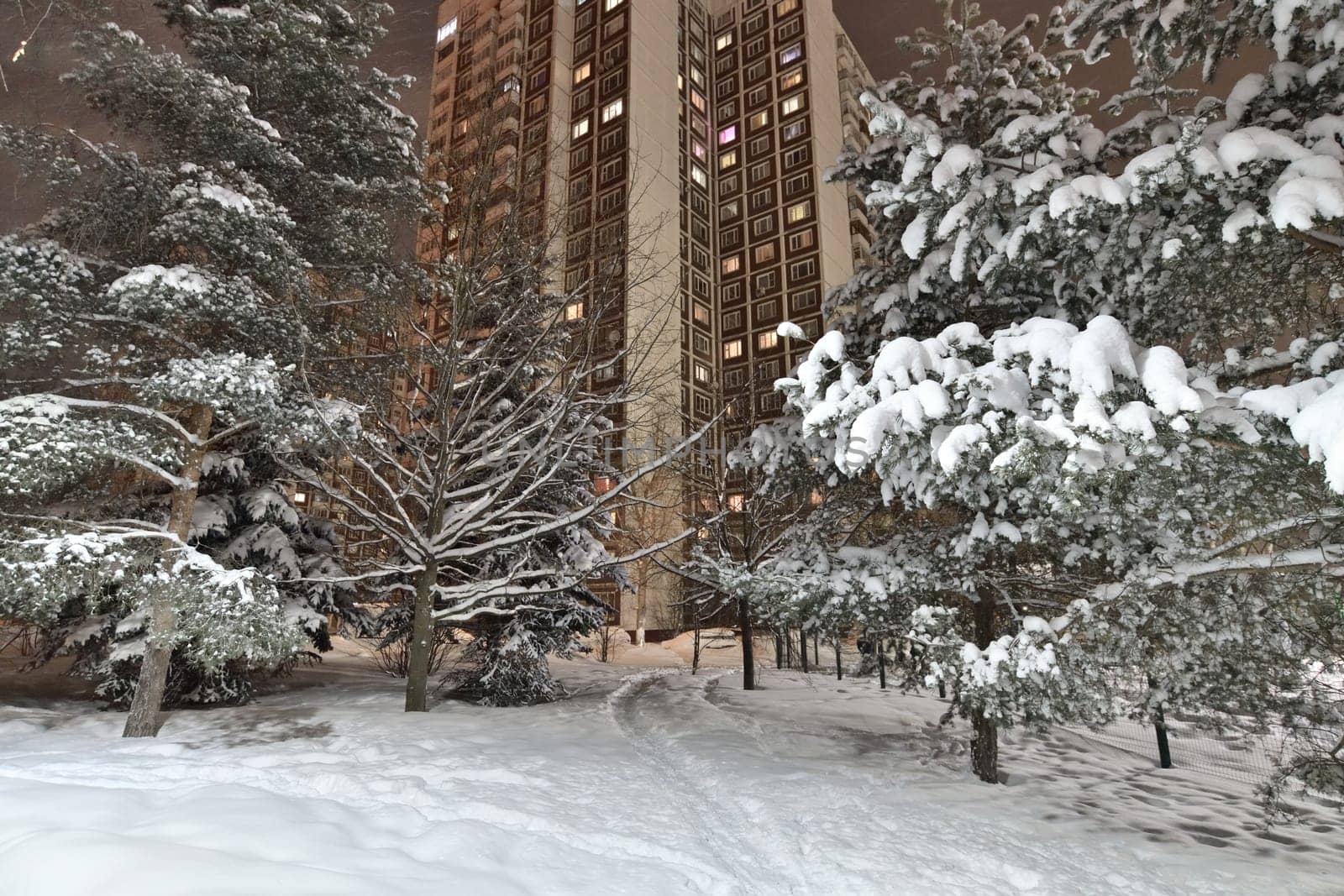 Frosty winter city park in the Moscow, Russia