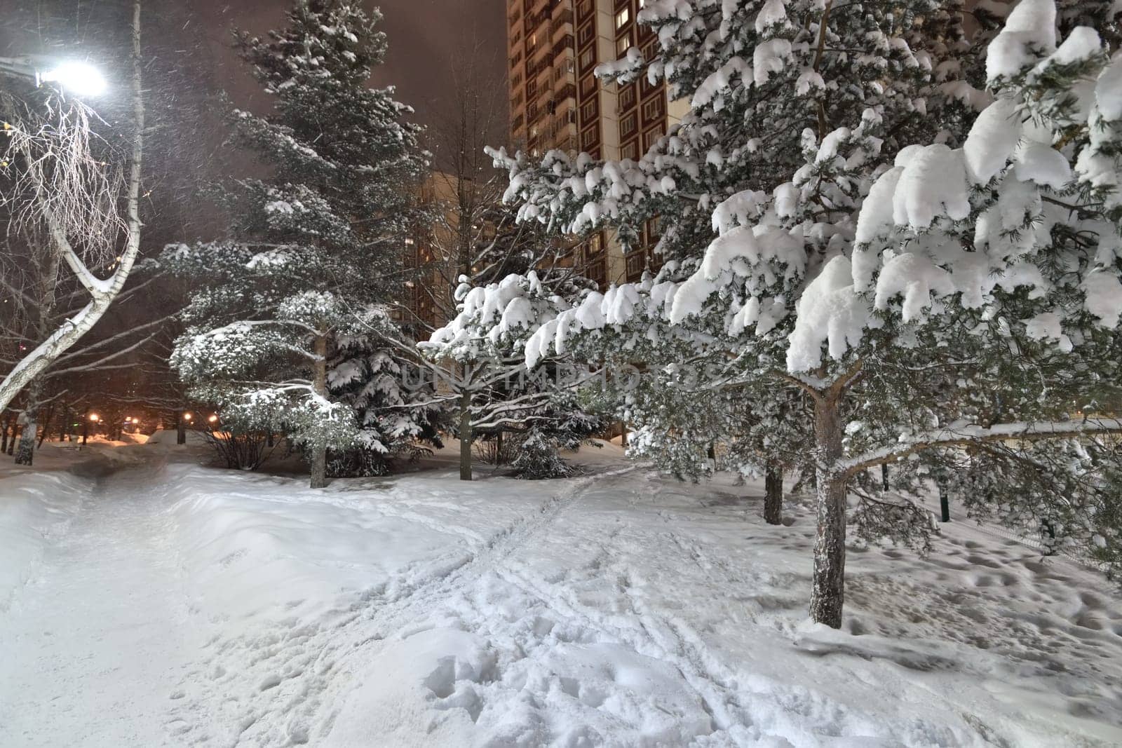 Frosty winter city park in the Moscow, Russia
