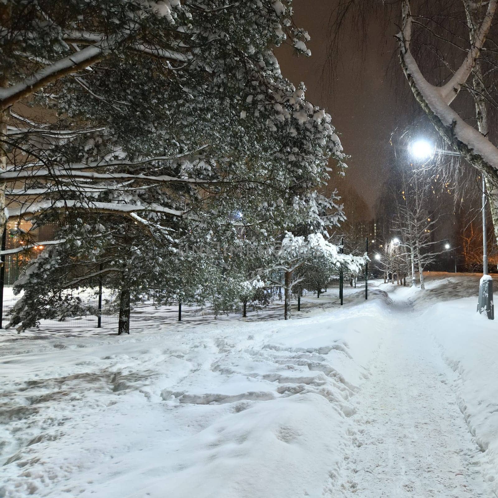 Frosty winter city park in the Moscow, Russia